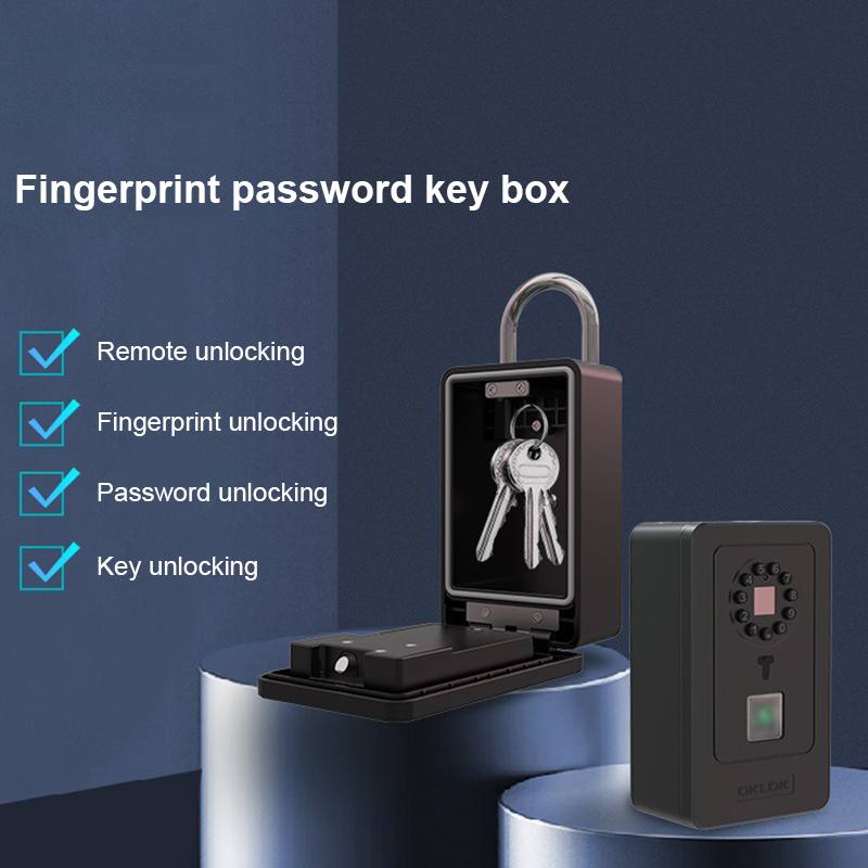 Kotak Penyimpanan Kata Sandi D - Home Security Doors ulasan dan harga