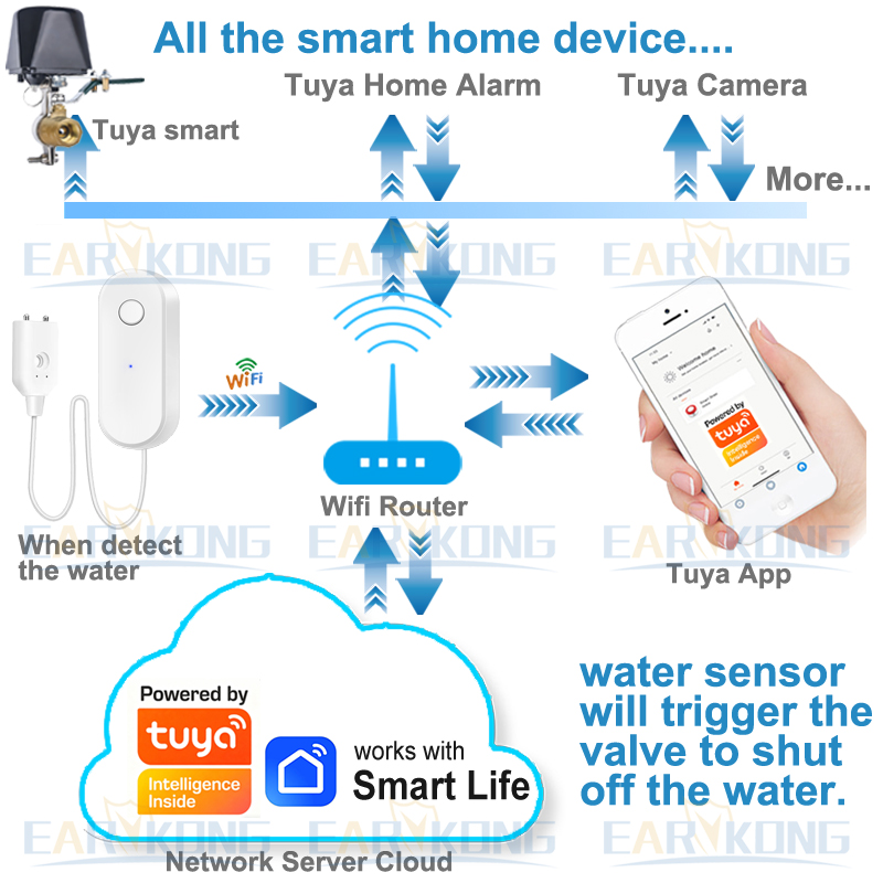 Tuya WiFi Sensor kebocoran air - Home Security App ulasan dan harga
