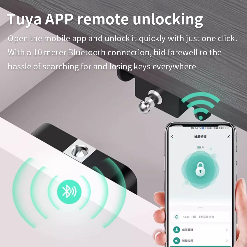 Kunci kabinet tersembunyi Tuya - Home Security Electronics ulasan dan harga